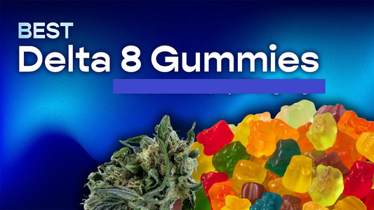 Delta 8 Gummies Tampa, Florida