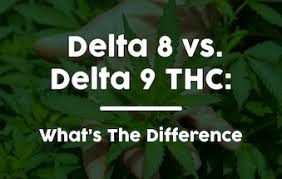 Delta 8 vs Delta 9 THC