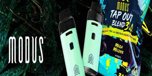 Modus Disposable Vapes Florida