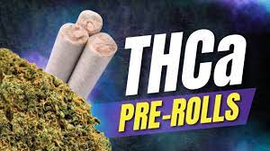 THCA Pre Rolls Tampa, Florida, USA