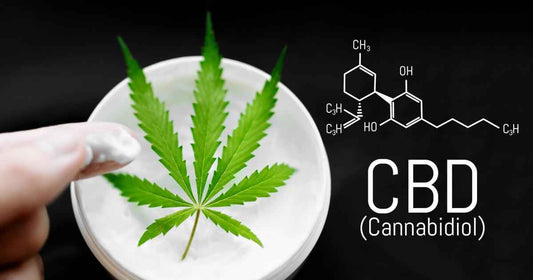 CBD Products Online Near Me