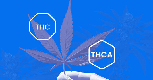 THCA vs THC