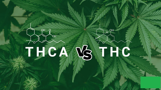 difference between THC and THCA