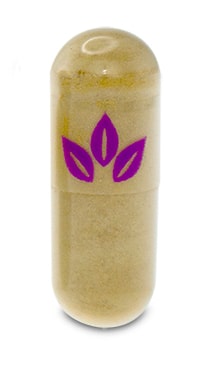 OPMS Gold Kratom Extract Capsules