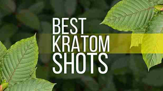 Best Kratom Extract Shots of 2025: Tried and Tested for High Potency & Flavors