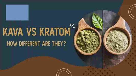 Kratom and Kava: Advantages and Dissimilarities
