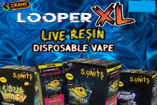 Looper XL Disposable 