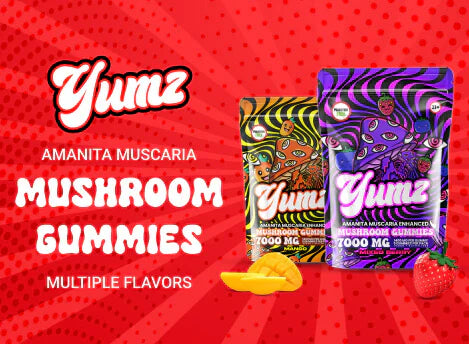 Mushroom Gummies Near Me