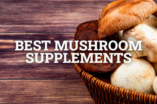 Best Mushroom Supplements Online Shop