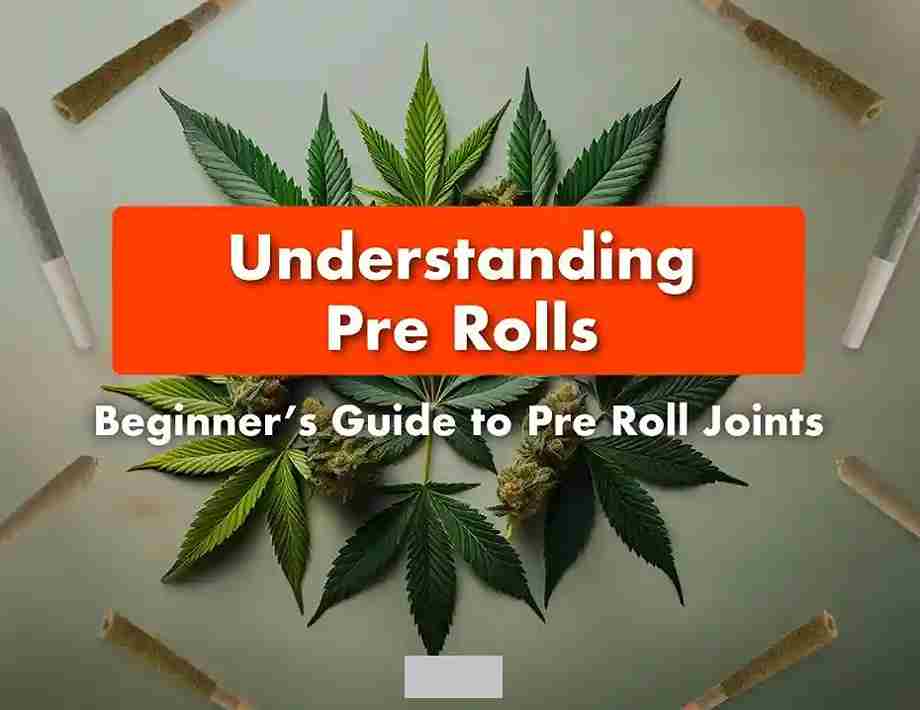 THC and CBD Pre Rolls Near Me