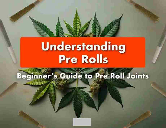 THC and CBD Pre Rolls Near Me