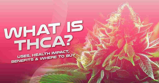 Buy THCA Vapes, Flowers Online in Tampa, Florida, USA