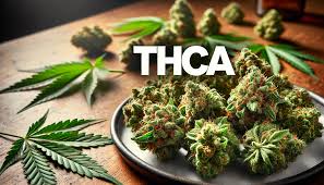 THCA Gummies Florida