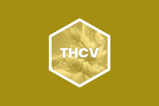 What is THCV: Uses, Benefits, Effects, and More