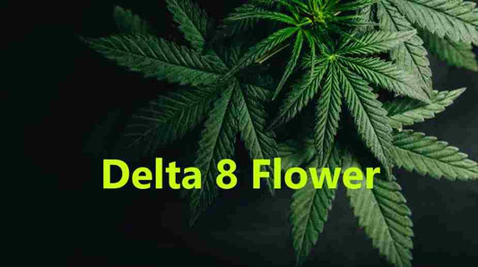 Delta 8 Flower Near Me
