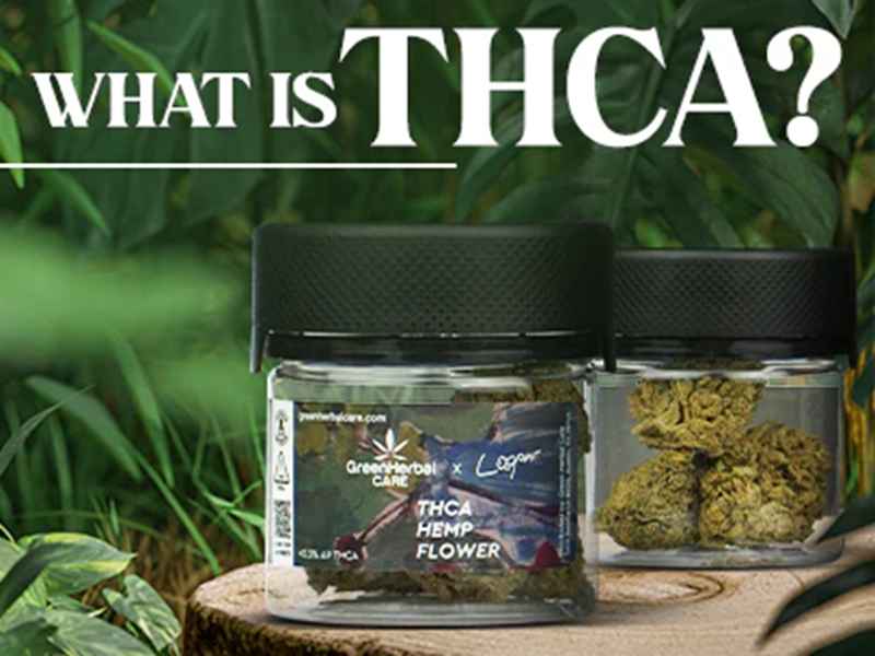 Best THCA products online in tampa, florida, usa