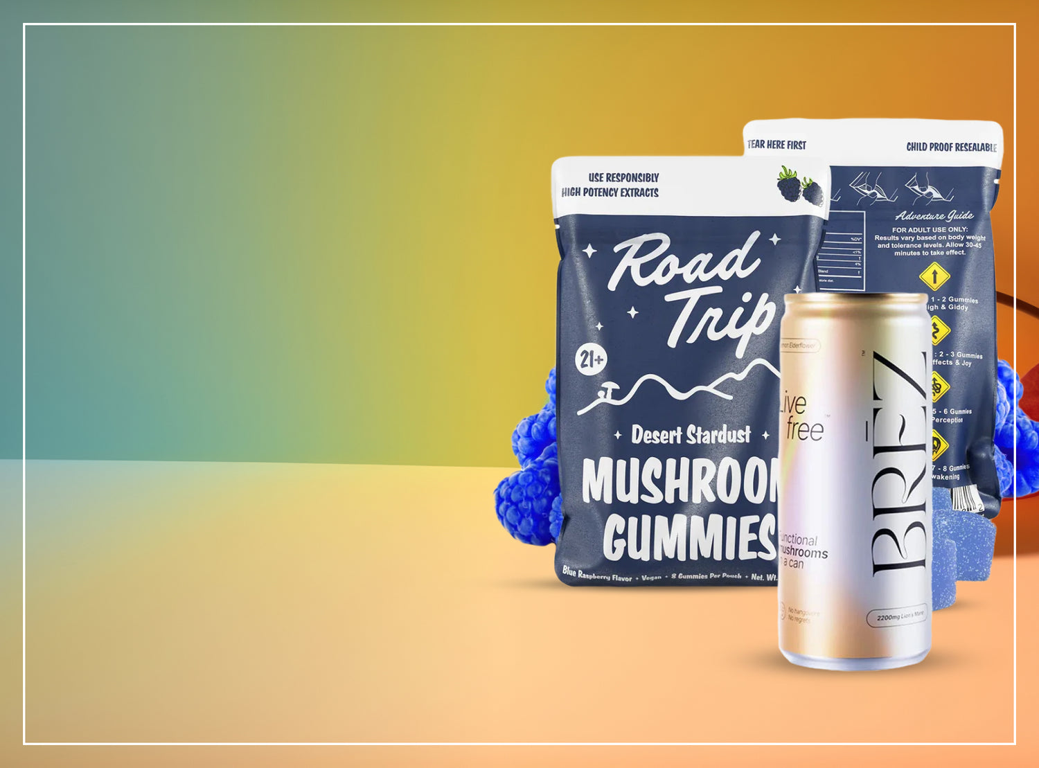 Mushroom Supplements